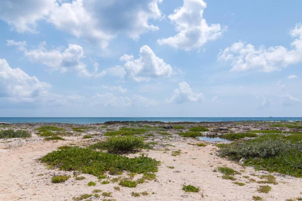 Ground Level Garden Condo At Akumal South By Tao Santamar Экстерьер фото