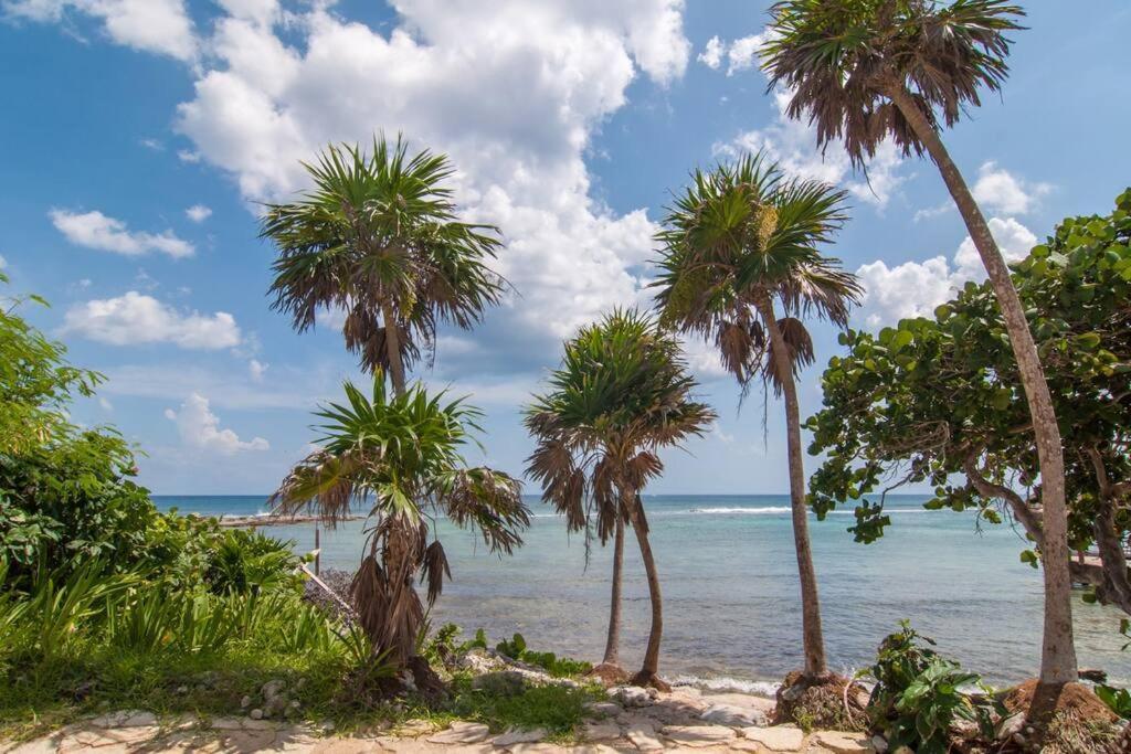 Ground Level Garden Condo At Akumal South By Tao Santamar Экстерьер фото